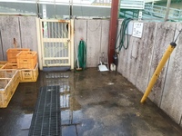 水戸市ゴミ片付け~マンションゴミ置場~