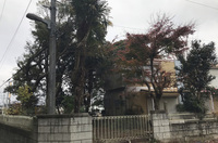 水戸市大串町にて軽量鉄骨造2階建屋解体及び植栽伐採の様子|LS