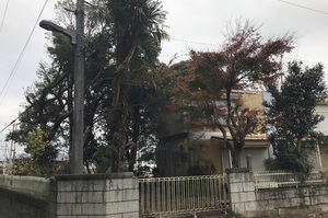 水戸市大串町にて軽量鉄骨造2階建屋解体及び植栽伐採の様子|LS