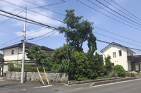 水戸市見川町にて植栽伐採と整地工事|LS